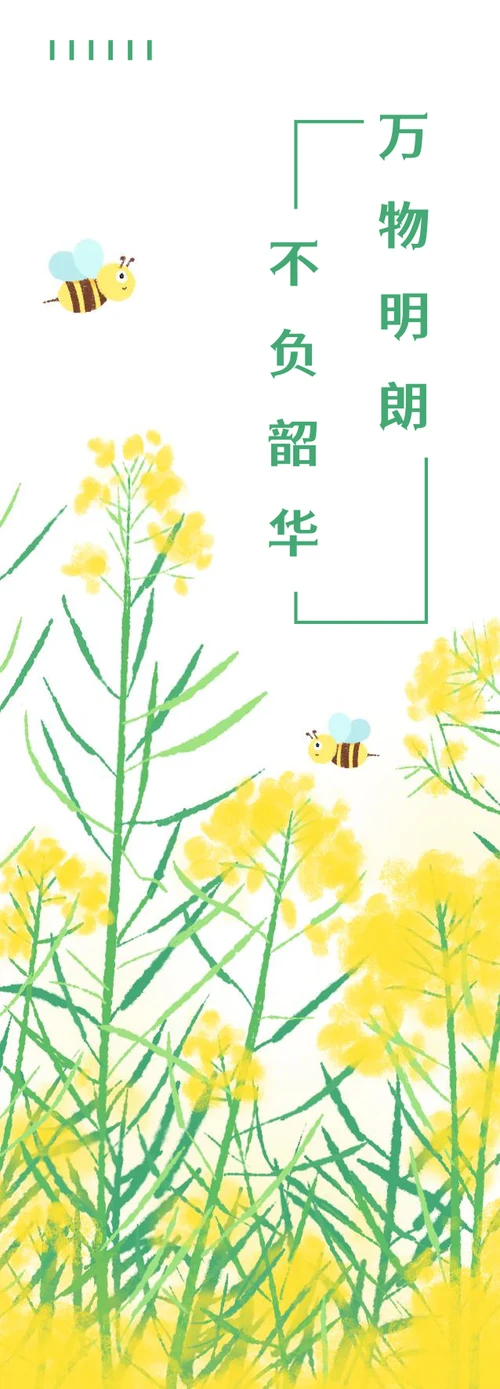 小清新植物书签