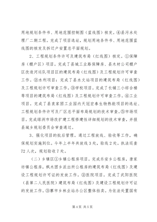 乡镇规划局上半年规划工作总结.docx