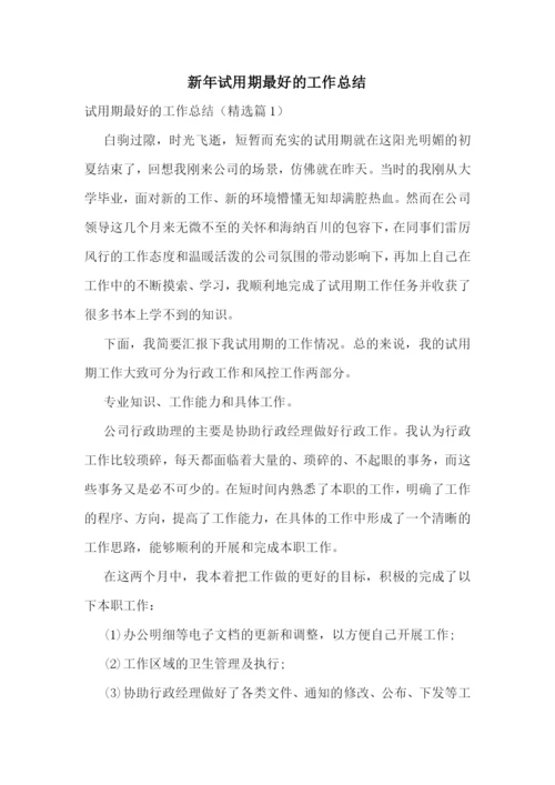 新年试用期最好的工作总结.docx