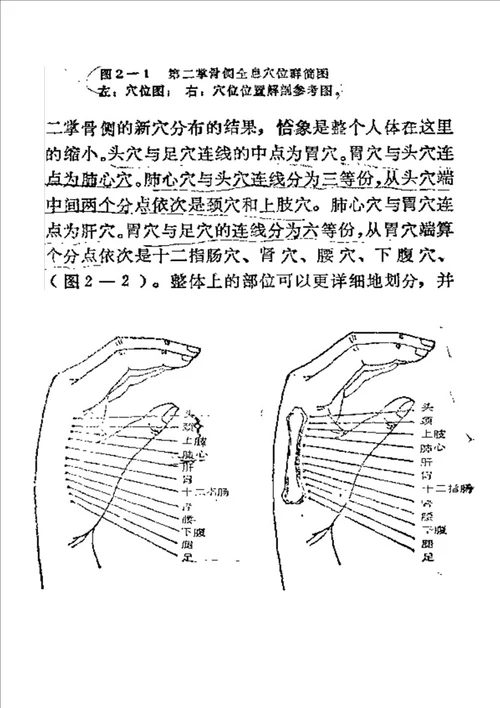 生物全息疗法