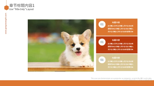 宠物乐园萌宠狗狗主题通用PPT模板