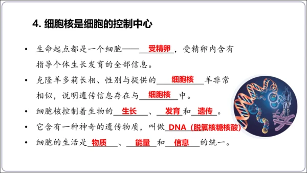 1.1&1.2 认识生物和细胞（复习课件）【2024人教新版七上生物高效完全备课】(共44张PPT)