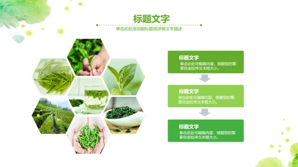 绿茶红茶茶叶茶厂茶文化茶道春茶PPT模板