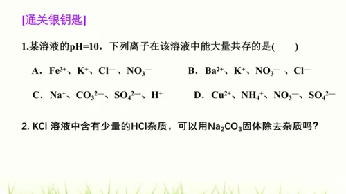 人教版九年级化学下册第十一单元 盐 化肥复习课件(共23张PPT)