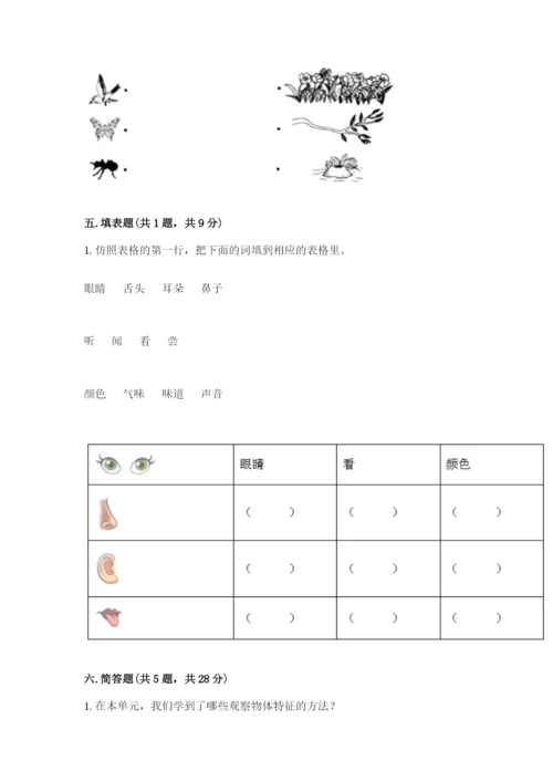 教科版一年级下册科学期末测试卷附完整答案【网校专用】.docx