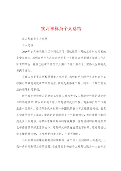 实习预算员个人总结