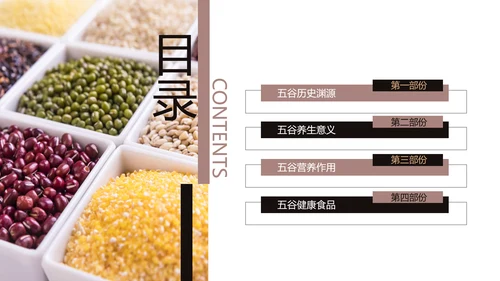 传统五谷杂粮养生食疗农产品介绍PPT模板