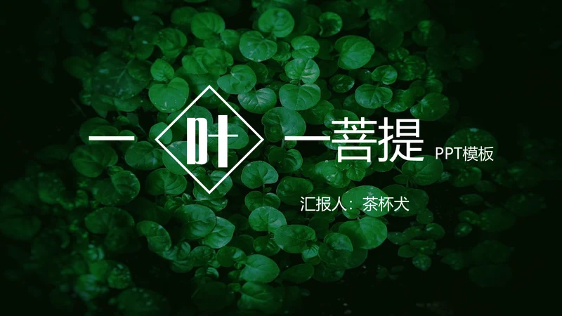 绿色叶子一叶一菩提通用PPT模板