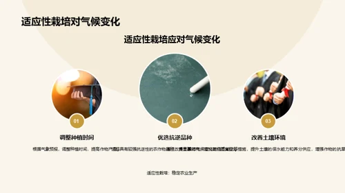 水墨风教育培训学术答辩PPT模板