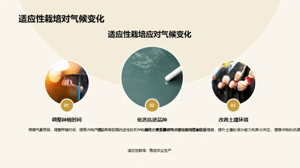 水墨风教育培训学术答辩PPT模板