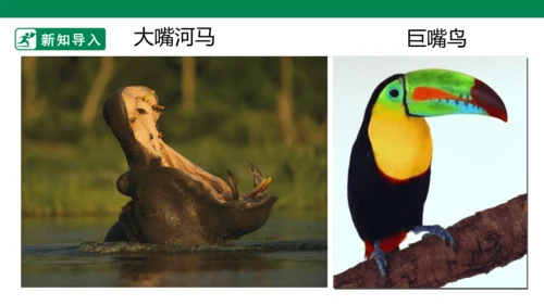 第六课《大嘴怪》课件