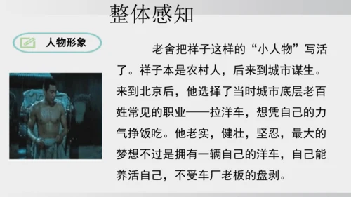 七年级下册语文第三单元整本书阅读 《骆驼祥子》课件