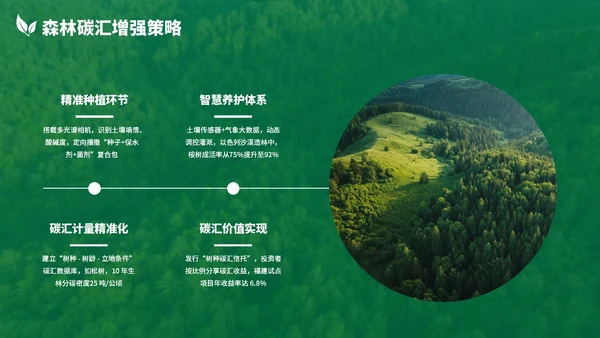绿色清新森林生态环境保护调研汇报PPT模板