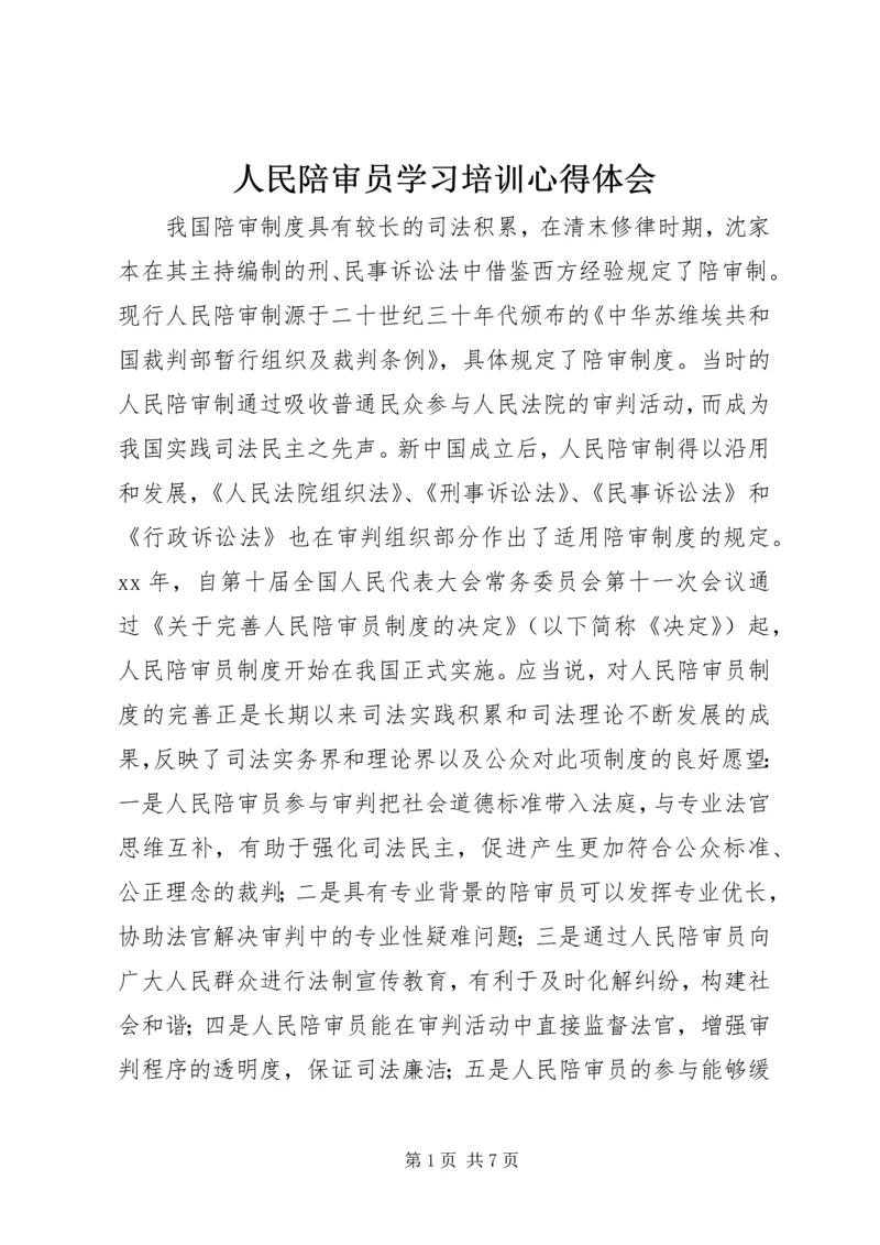 人民陪审员学习培训心得体会.docx