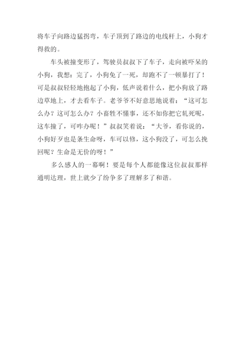 春节见闻作文700字.docx