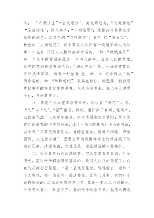 描写菊花的好词好句摘抄.docx