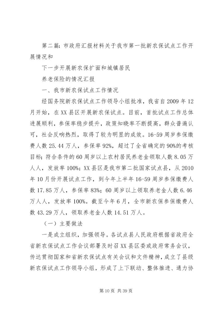 市政府专题汇报.docx