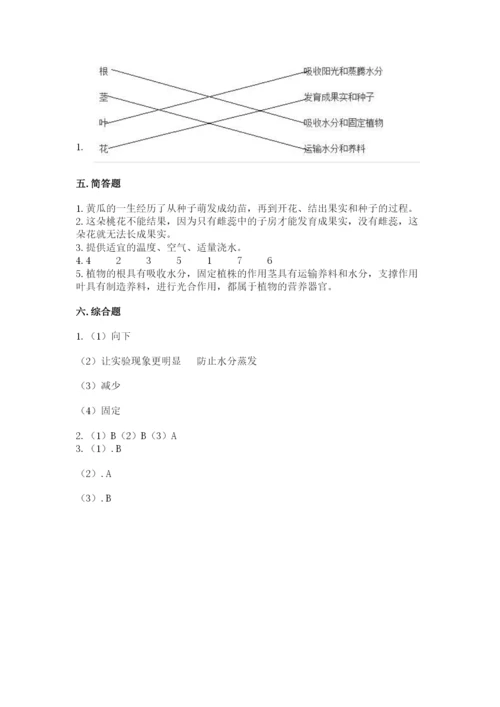 教科版科学四年级下册第一单元《植物的生长变化》测试卷精品（夺冠）.docx