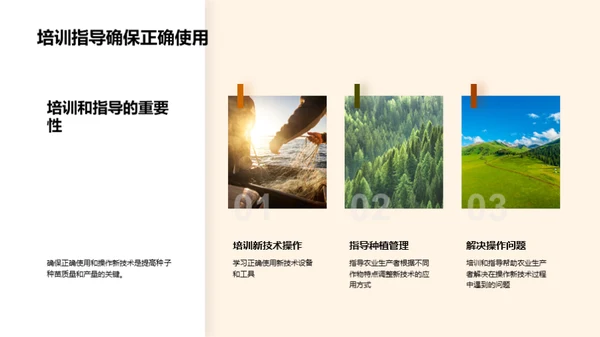 种子升级新篇章