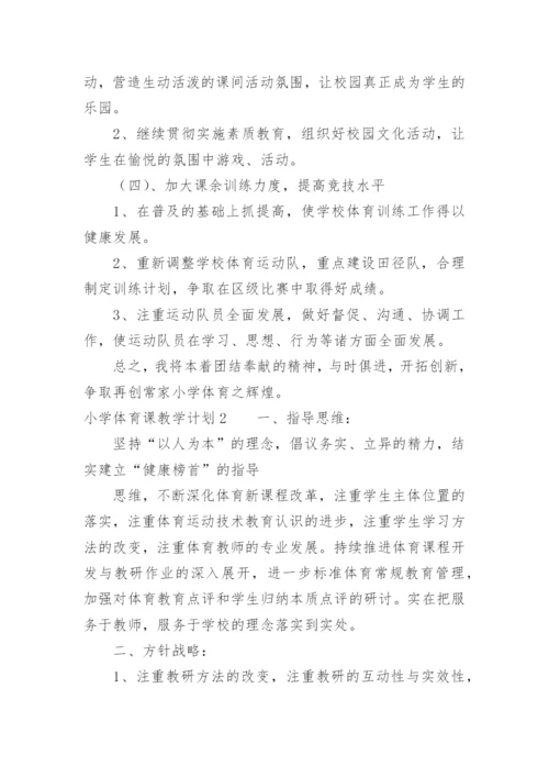 小学体育课教学计划.docx