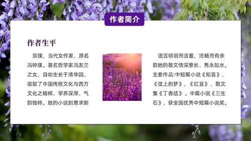实拍风紫藤萝瀑布七年级语文课件PPT模板
