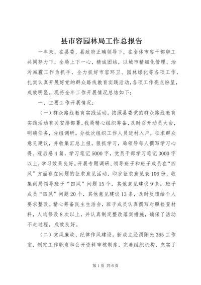 县市容园林局工作总报告.docx