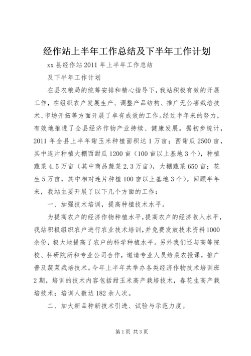 经作站上半年工作总结及下半年工作计划.docx