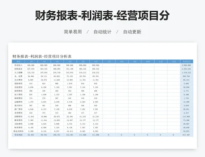 财务报表-利润表-经营项目分析表