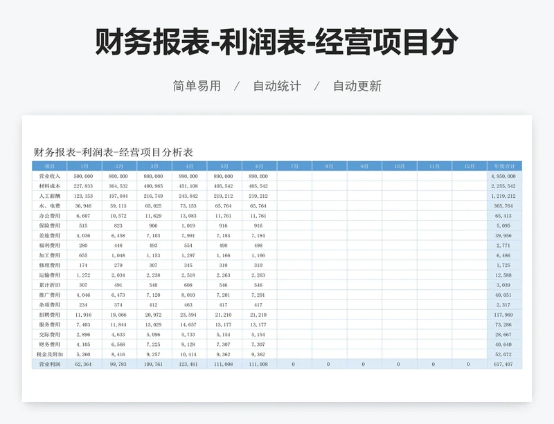财务报表-利润表-经营项目分析表