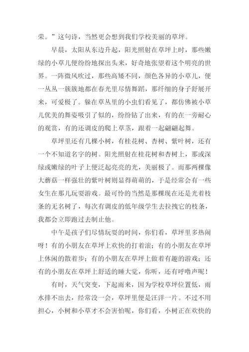 美丽的草坪作文三年级.docx