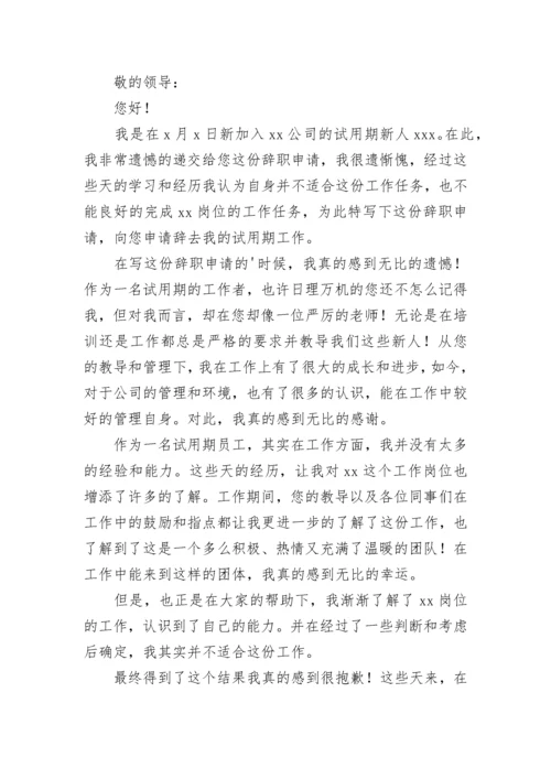 简单个人辞职申请书.docx