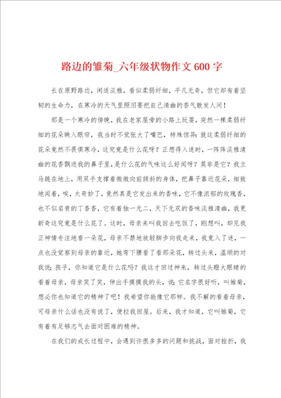 路边的雏菊六年级状物作文600字