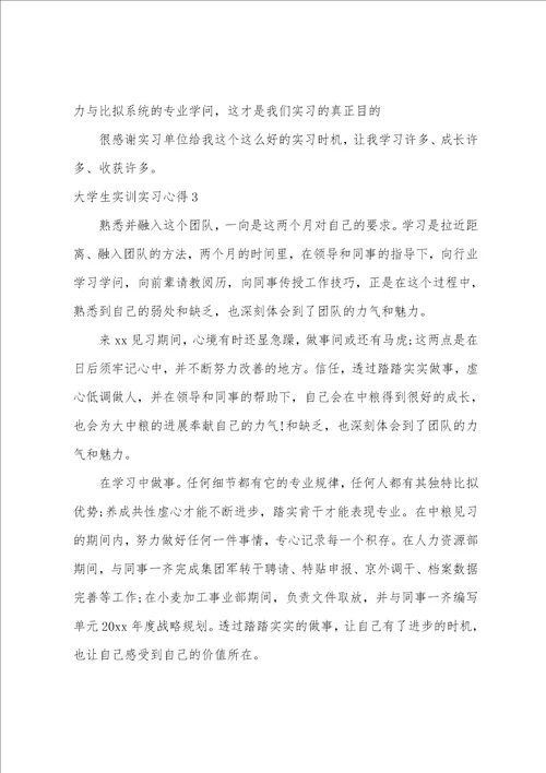 大学生实训实习心得