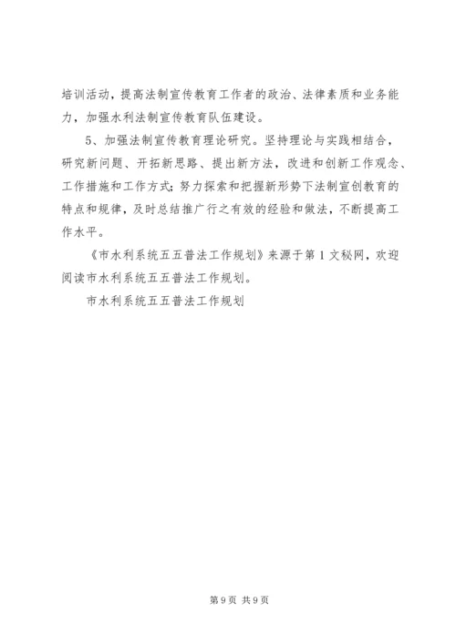 市水利系统五五普法工作规划.docx