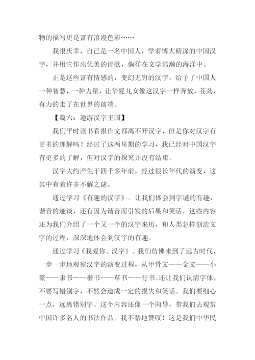 遨游汉字王国作文250字.docx