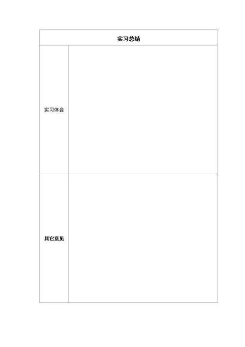 大学生实习报告