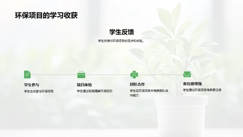 中学环保实践策略