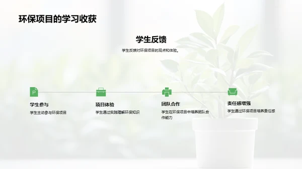 中学环保实践策略