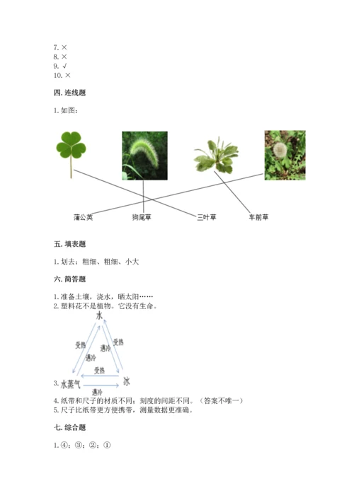 教科版一年级上册科学期末测试卷【全国通用】.docx