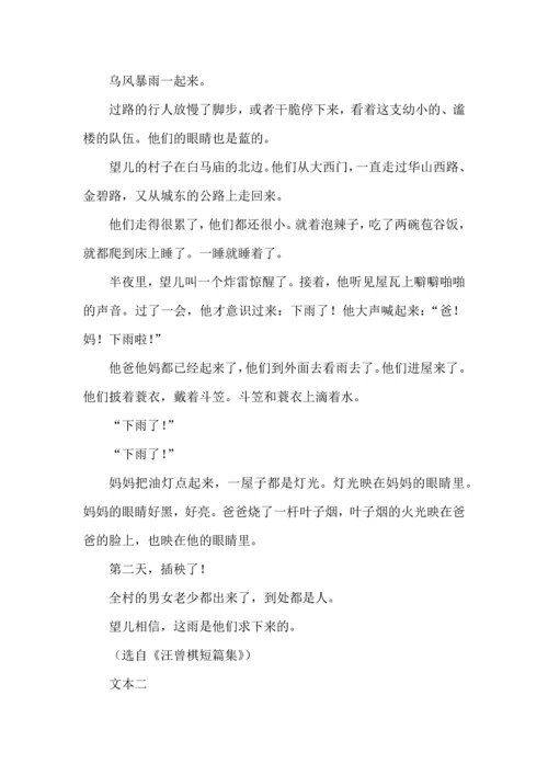 高考语文一轮复习精品之散文化小说阅读试题精选.docx