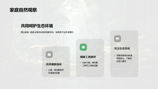 生物多样性之谜