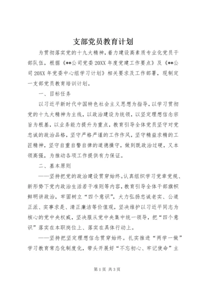 支部党员教育计划.docx