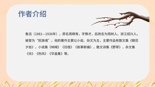 红色中国风初一语文阿长与山海经课件PPT模板