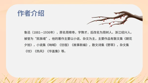 红色中国风初一语文阿长与山海经课件PPT模板
