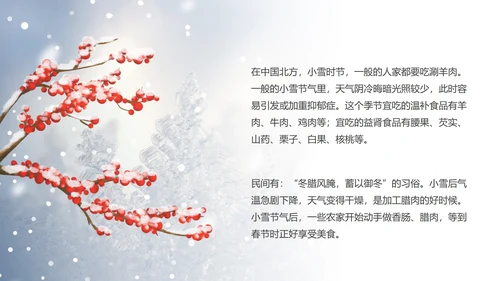 蓝色小清新小雪节气PPT模板