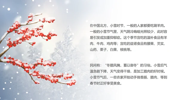 蓝色小清新小雪节气PPT模板