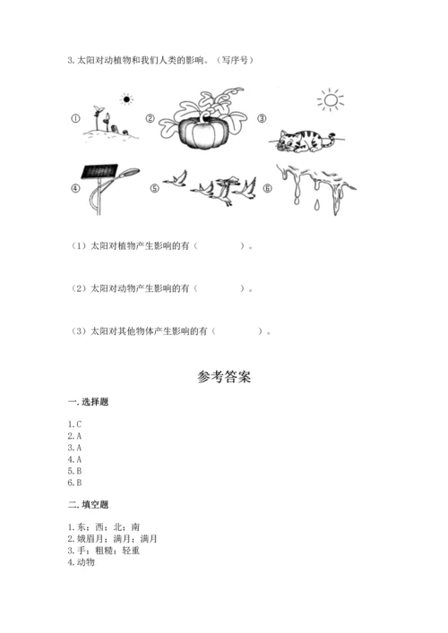 教科版二年级上册科学期末测试卷精品（有一套）.docx