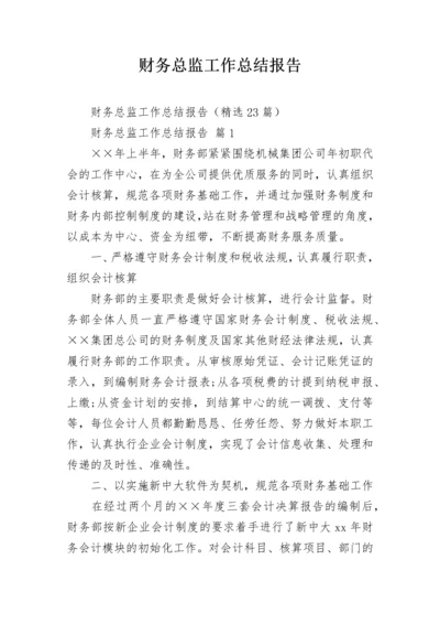 财务总监工作总结报告.docx