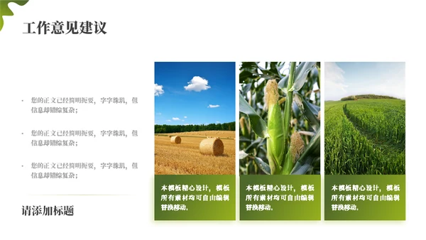 绿色乡村振兴项目工作汇报通用PPT模板