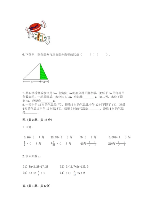 苏教版数学六年级下册试题期末模拟检测卷完整版.docx